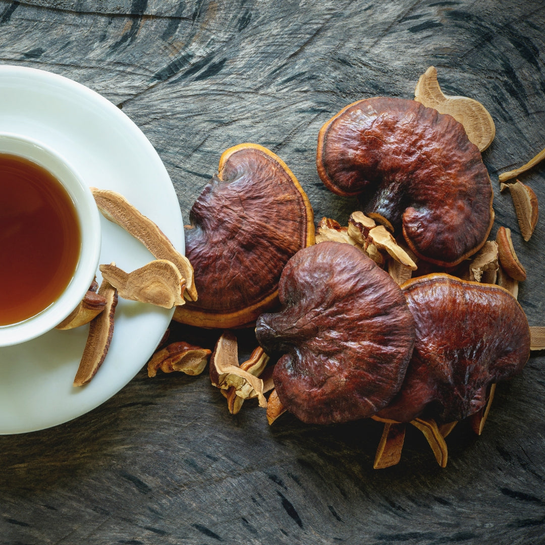 Exploring the Marvels of Reishi Mushroom Tea Royal-Mushroom