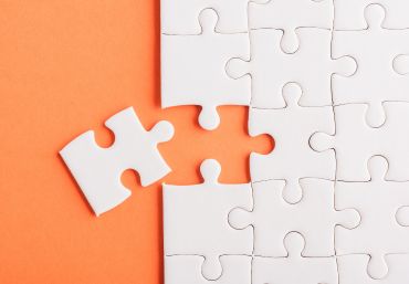 Image of Lion's Mane mushroom with shaggy white appearance, known for its cognitive benefits and brain-boosting properties.