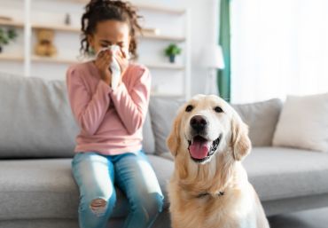 Exploring the Power of Reishi Mushrooms for Allergy Relief