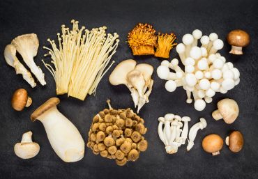 Mushroom Supplements for Specific Health Goals: Boost Energy, Reduce Stress, and Support Brain Health
