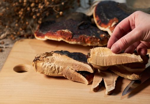 Mushroom Complex: Benefits, Dosage, and Best Supplements for Immune and Brain Health