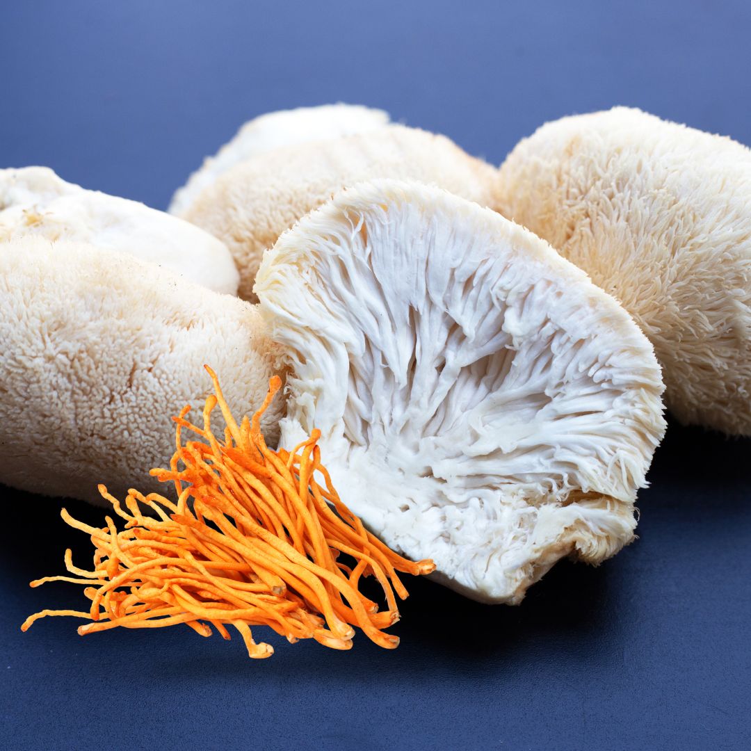 Lion's Mane vs. Cordyceps Which One is Better for You?