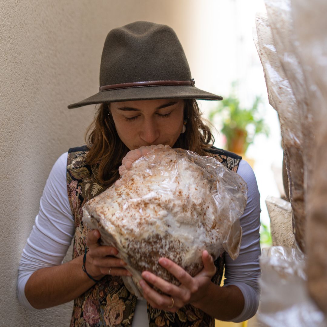 Top 5 Reasons to Add Lion’s Mane Gummies to Your Daily Routine for Enhanced Brain Health and Focus