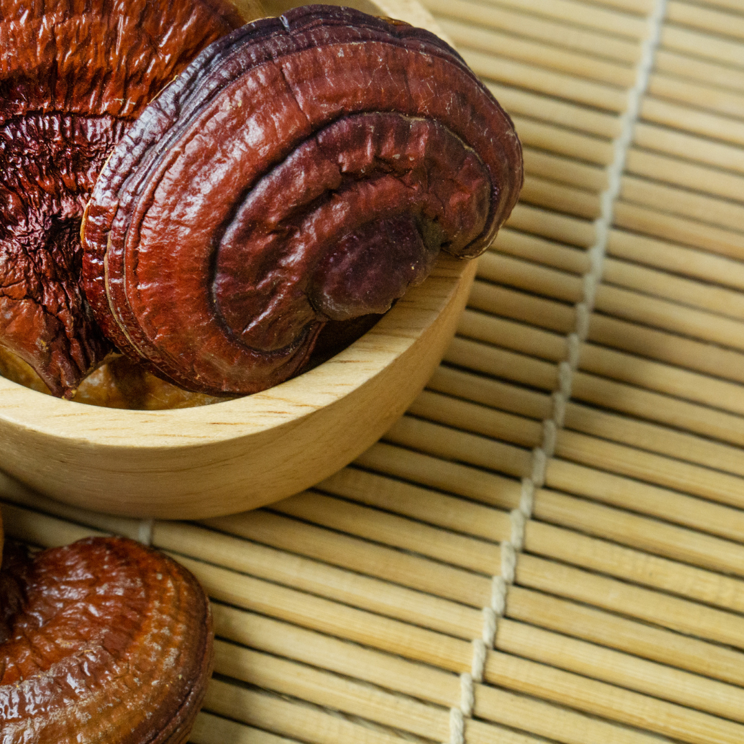 Why Reishi mushroom help with insomnia? Royal-Mushroom