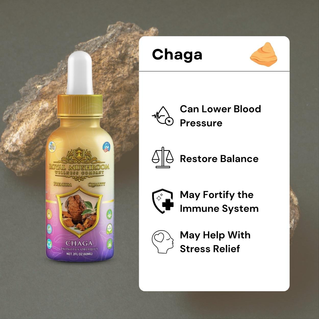 Chaga Mushroom Oil Tincture 60ml Royal-Mushroom