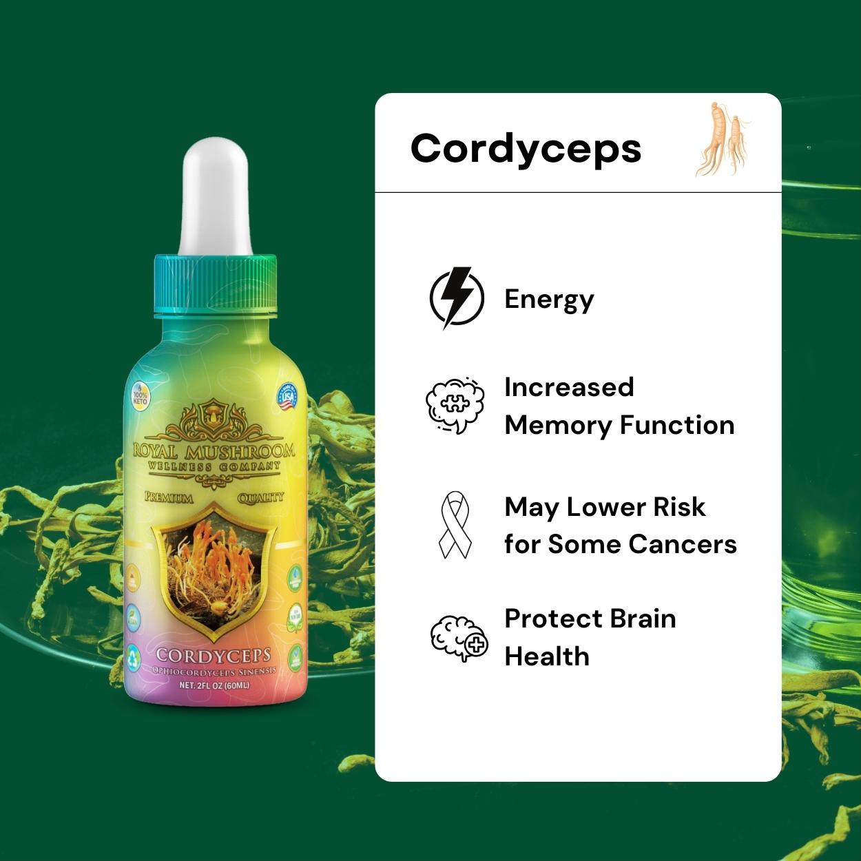 Cordyceps Mushroom Oil Tincture 60ml Royal-Mushroom