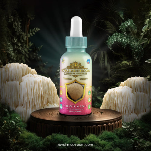 Lion’s Mane Mushroom Oil Tincture 60ml Royal-Mushroom