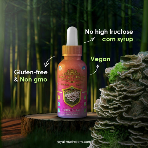 Turkey Tail Mushroom Oil Tincture 60ml Royal-Mushroom