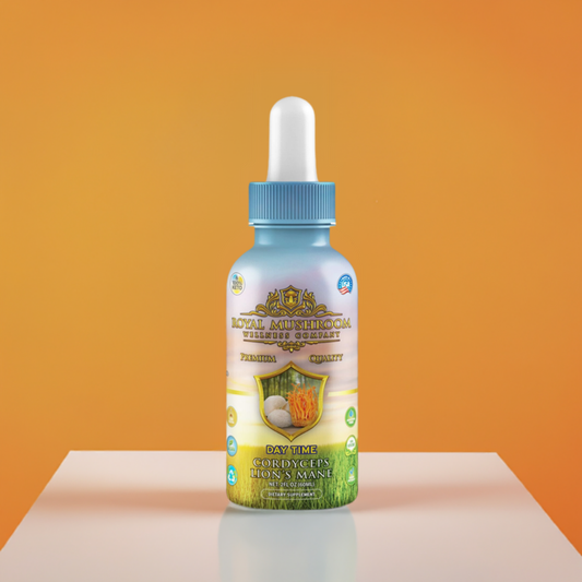 Lion's Mane & Cordyceps Extract