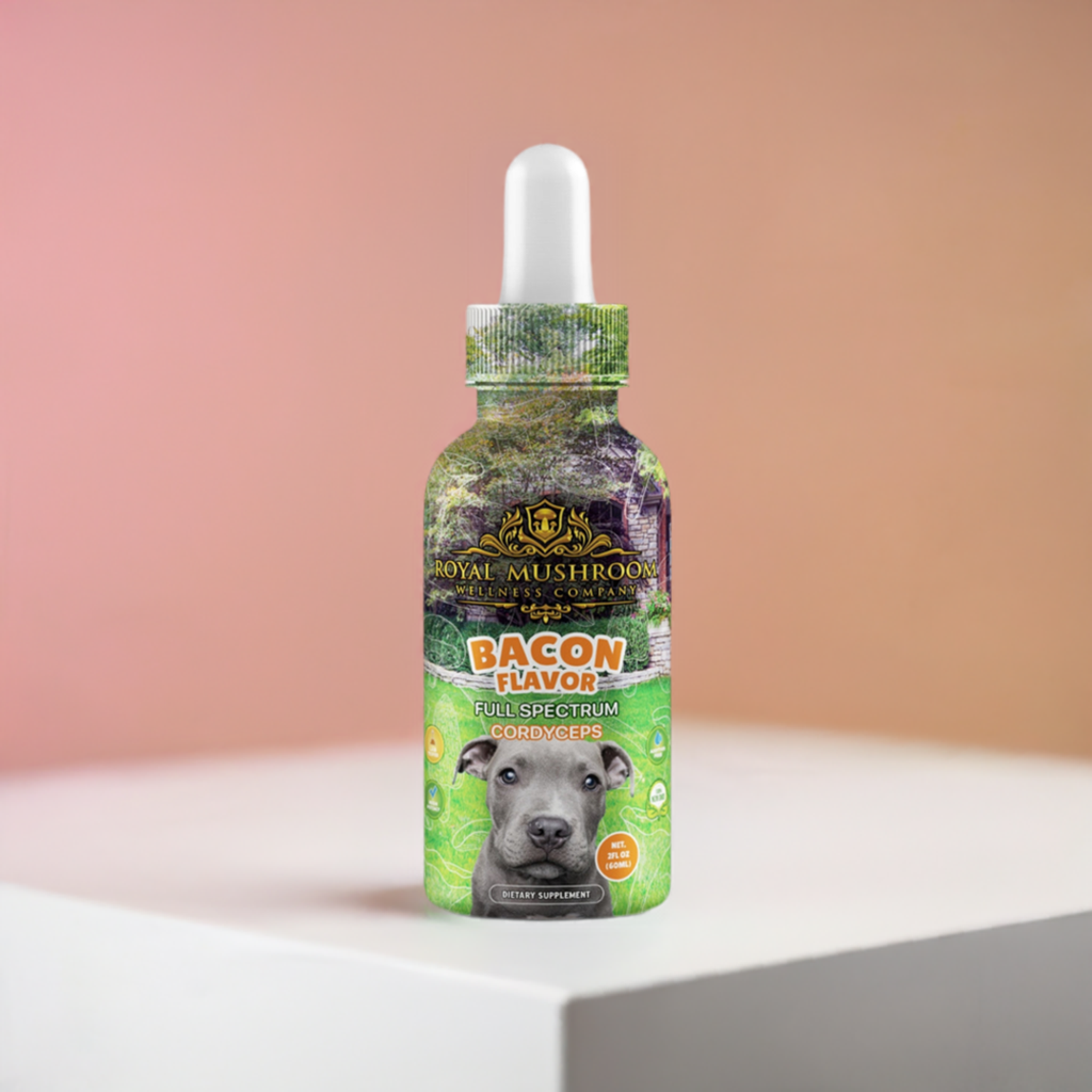 Dogs Tincture Bacon Flavor - Cordyceps