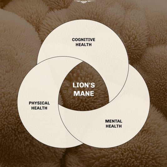 7 Powerful Reasons to Try Lion's Mane Tincture Daily