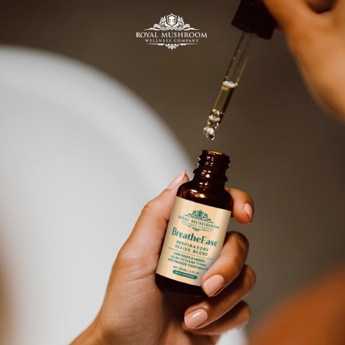 How Reishi, Lion’s Mane & Chaga Combine for Total Wellness (and Which Formulas to Try)