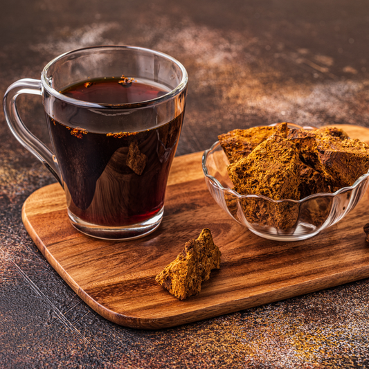 Chaga Mushroom: Nature's Superfood Royal-Mushroom