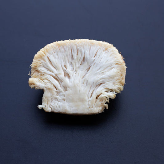 Comprehensive Guide to Lions Mane Mushroom Supplement Royal-Mushroom