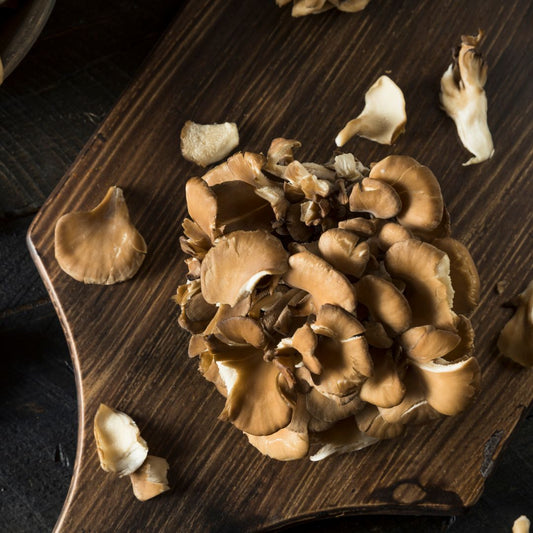 Cooking with Maitake: Recipes and Culinary Delights Royal-Mushroom