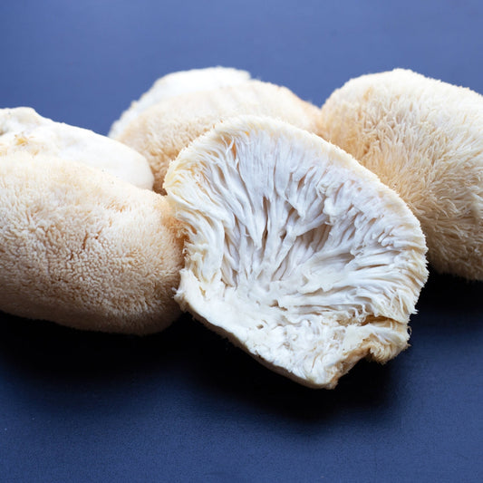 Lion's Mane Mushroom: Its Natural Habitat, Culinary Potential, Lifecycle, and Health Benefits Royal-Mushroom