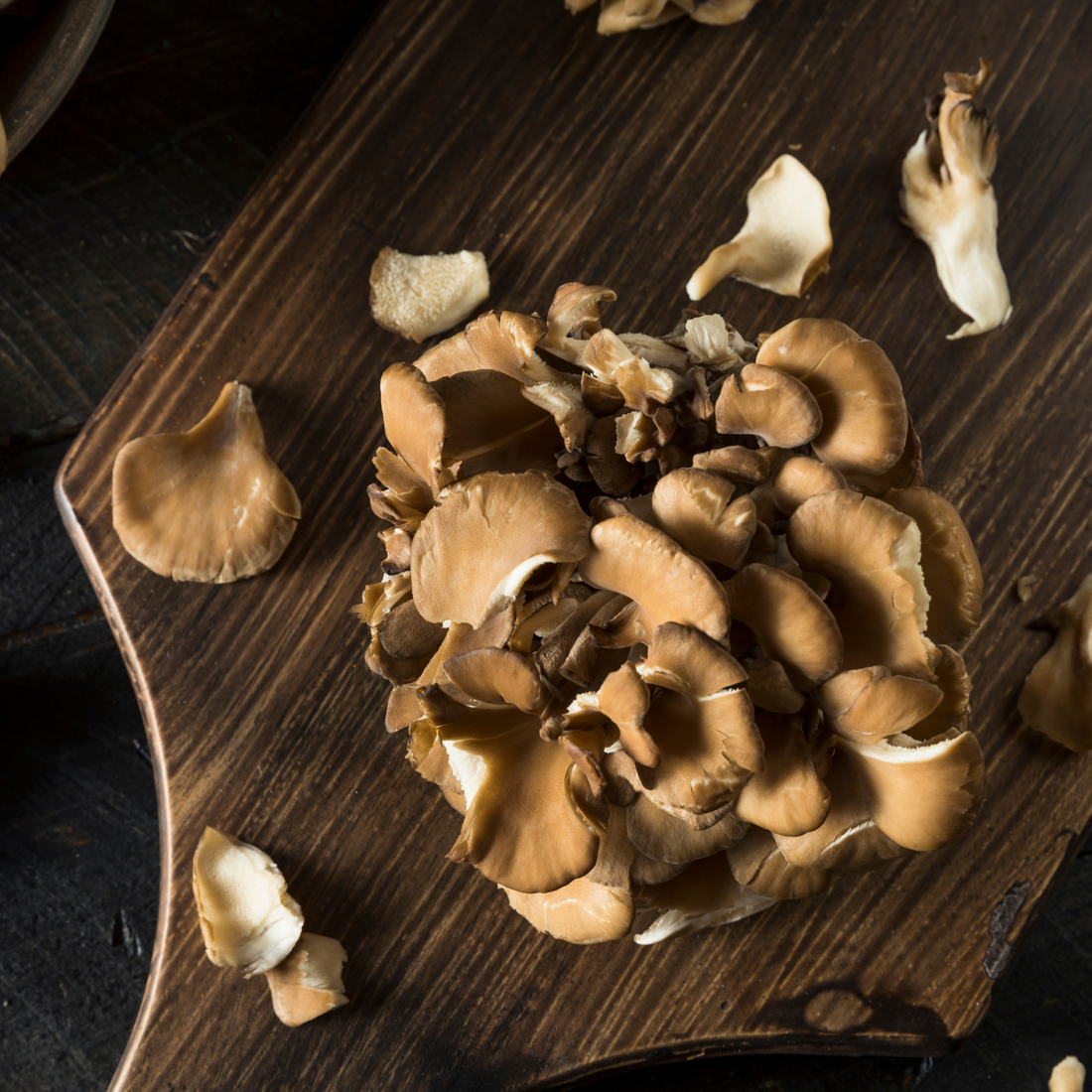 Mushrooms & Cooking: A Surprisingly Delicious Wellness Solution Royal-Mushroom