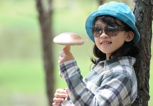 Why Mushroom Gummies Are a Safe and Effective Supplement for Kids