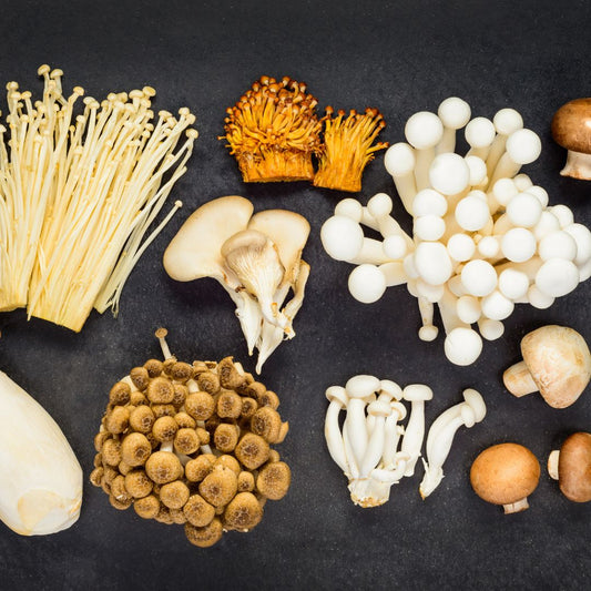 Mushroom Complex: Unlocking the Health Benefits of Nature’s Superfood
