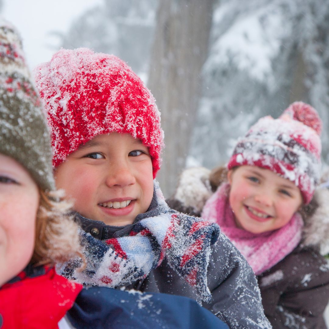 Lion's Mane Gummies vs Regular Brain Vitamins for Kids