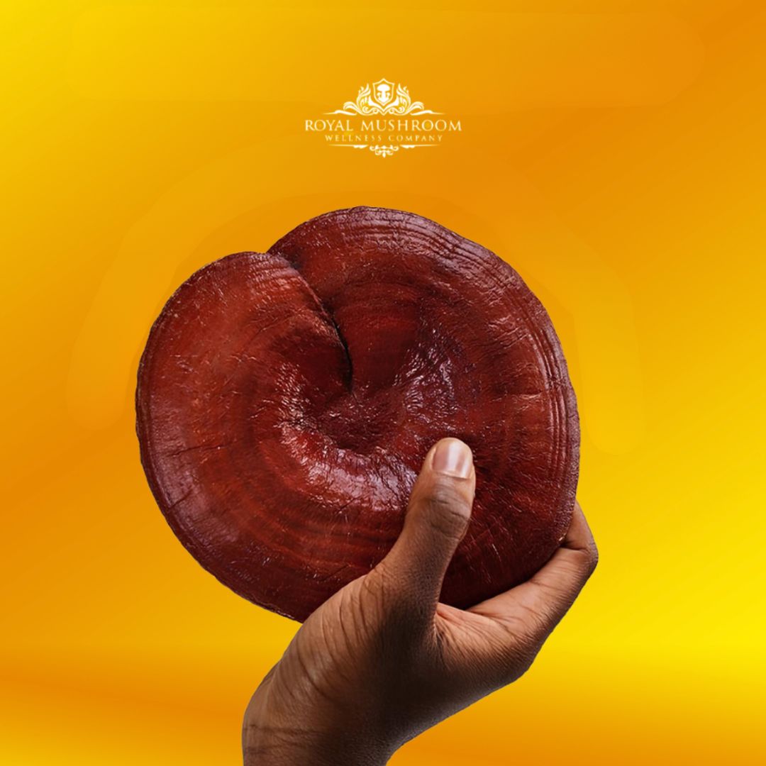 The 2025 Ultimate Guide to Reishi Mushroom