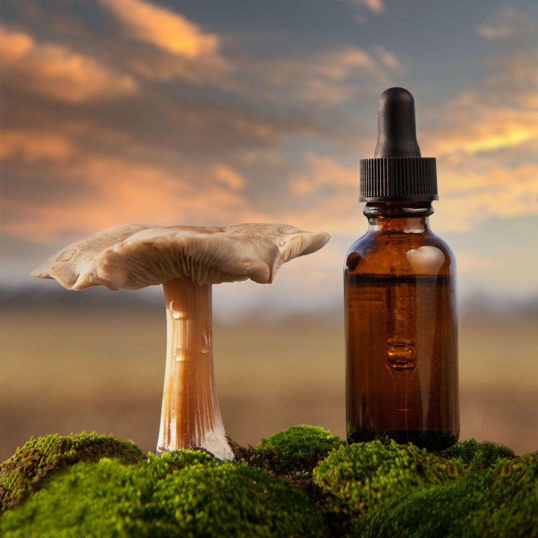 Unveiling the Potentials of Mushroom Supplements: Efficacy, Safety, and Recommended Practices Royal-Mushroom