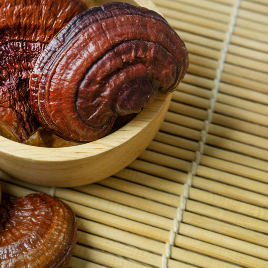 Why Reishi mushroom help with insomnia? Royal-Mushroom