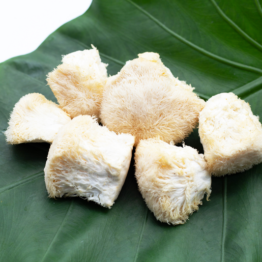 With Courage of a Lion: Lion's Mane Mushroom Royal-Mushroom