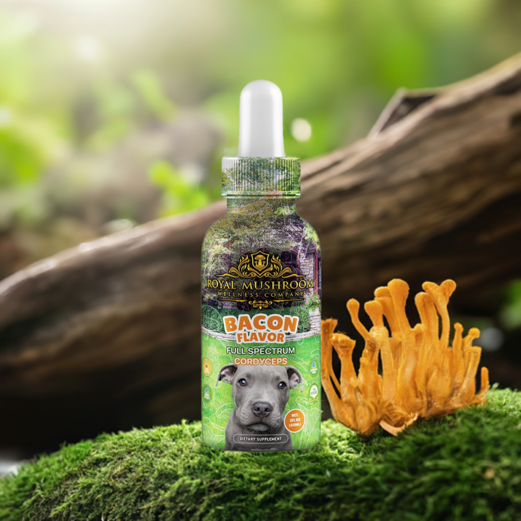 Cordyceps for Dogs