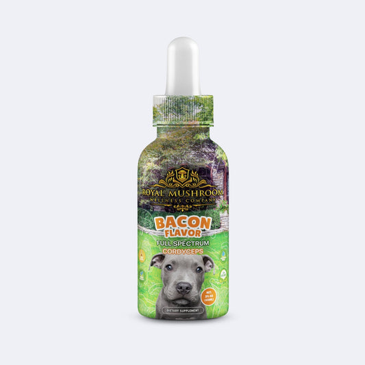 Dogs Tincture Bacon Flavor - Cordyceps Royal-Mushroom
