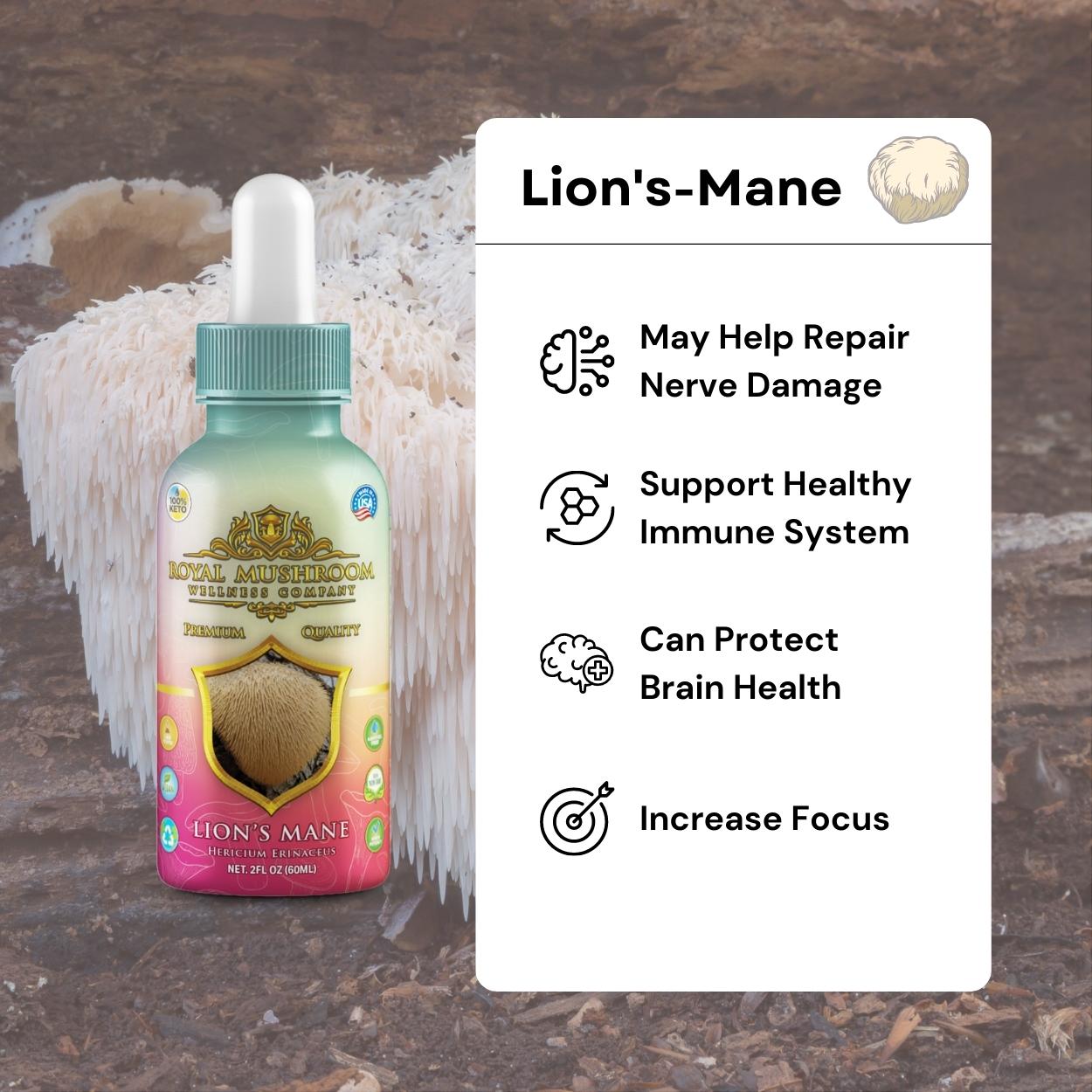 Lion’s Mane Mushroom Oil Tincture 60ml Royal-Mushroom