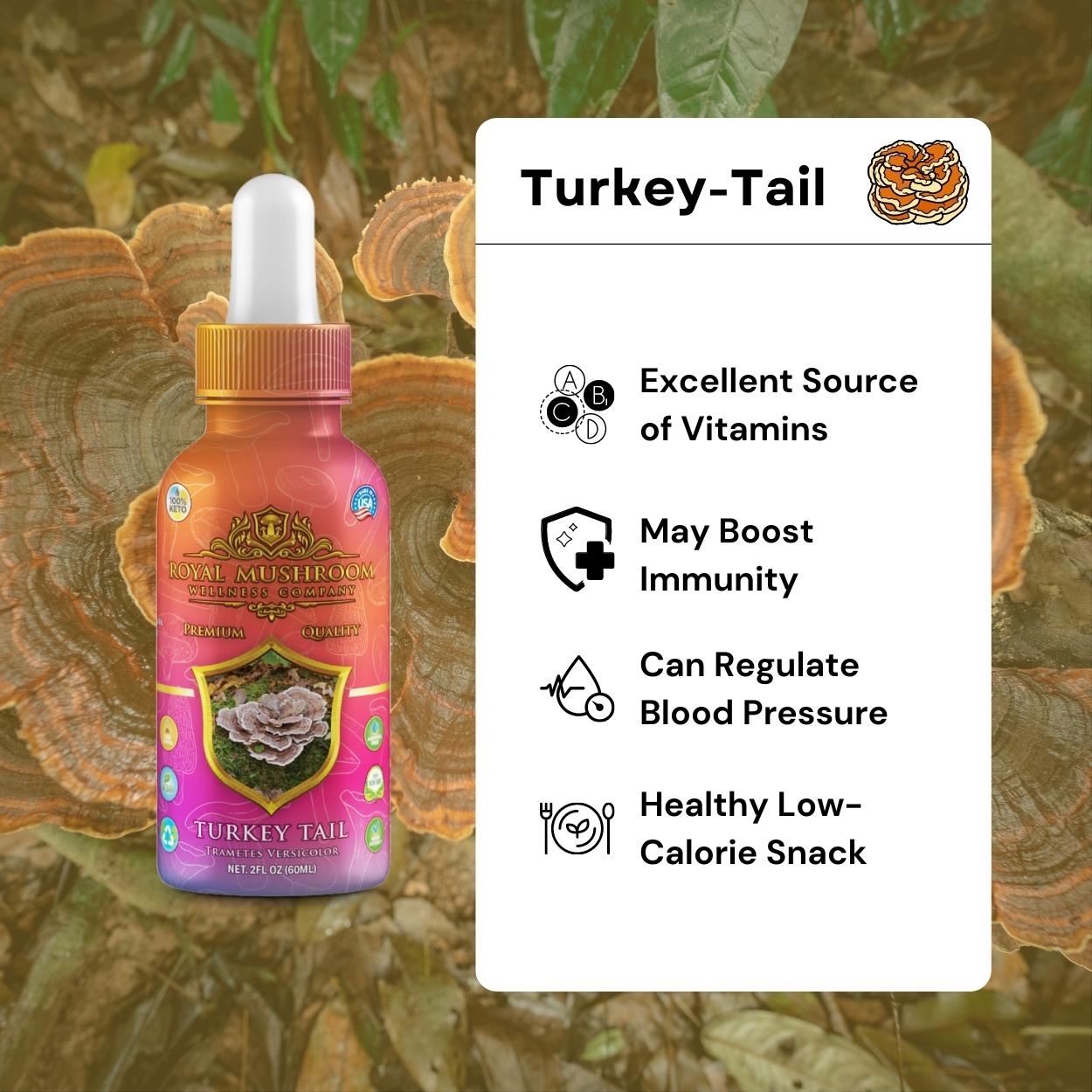 Turkey Tail Mushroom Oil Tincture 60ml Royal-Mushroom