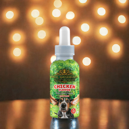 Dogs Tincture Chicken Flavor - Maitake Dogs Tincture Chicken Flavor - Maitake