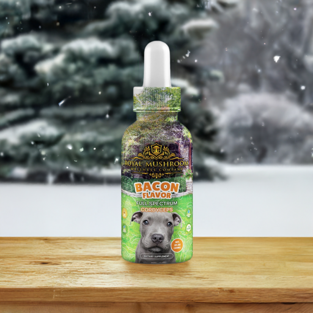 Dogs Tincture Bacon Flavor - Cordyceps